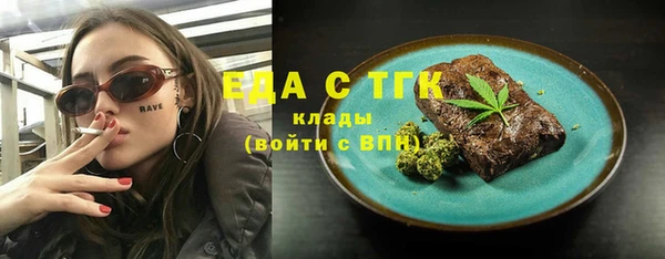 прущие грибы Мурманск