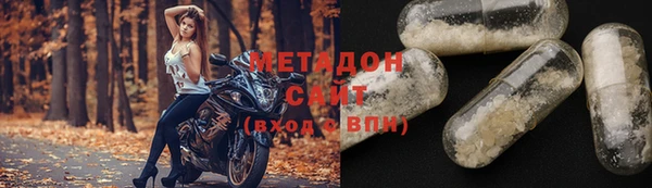 прущие грибы Мурманск