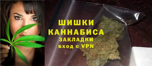 прущие грибы Мурманск