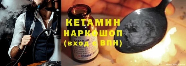 прущие грибы Мурманск