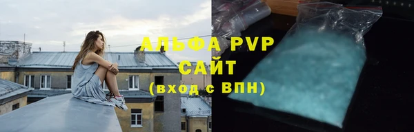 прущие грибы Мурманск