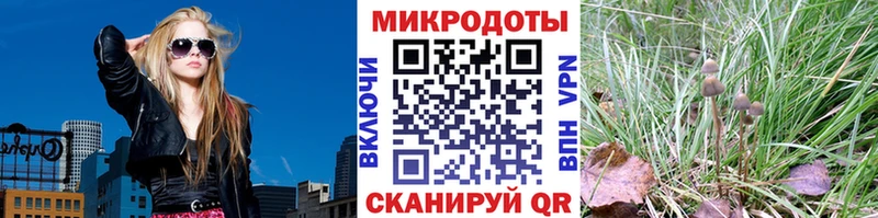 Купить  Плёс  Галлюциногенные грибы мухоморы